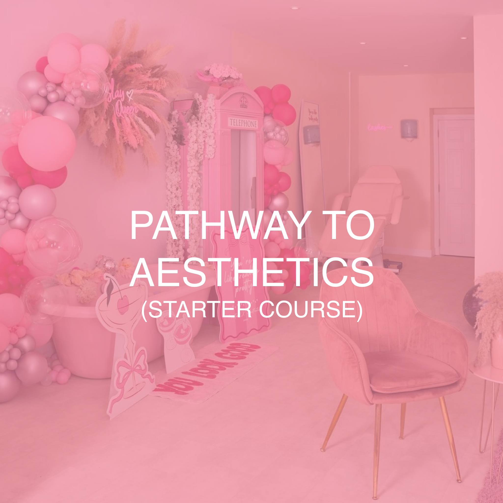 Pathway to Aesthetics (Starter Course)