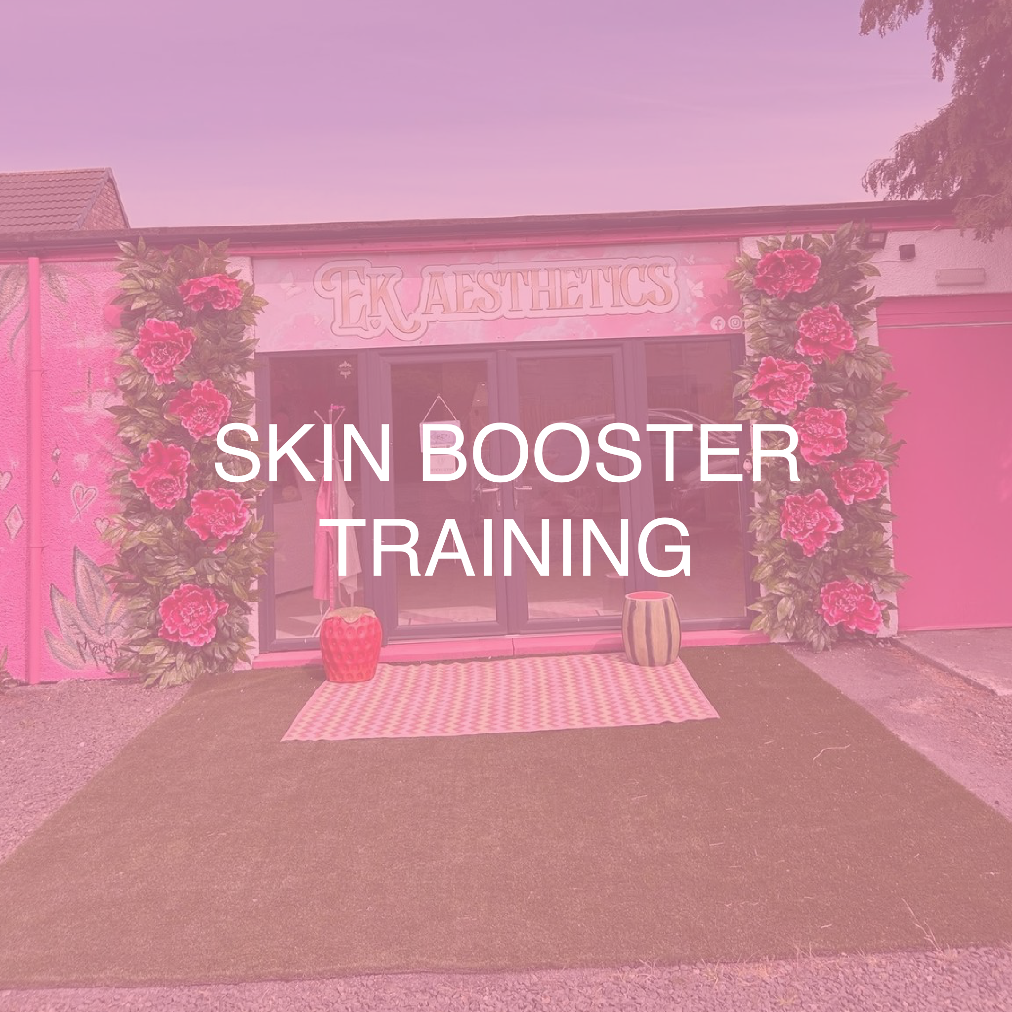 Skin Booster Training
